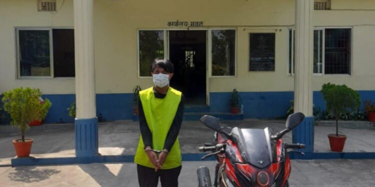 बराहक्षेत्र–५ को सामुदायिक वनबाट १९ केजी गाँजासहित युवक नियन्त्रणमा