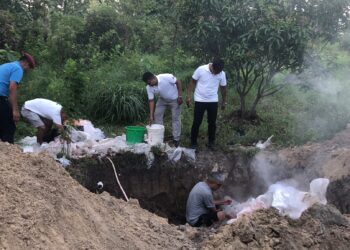 इलाका प्रहरी कार्यालय महेन्द्रनगरद्वारा २२९ केजी गाँजा नष्ट