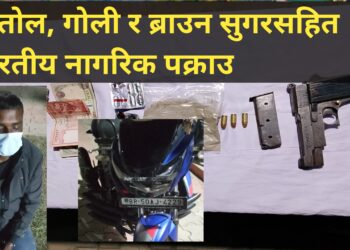 पेस्तोल, गोली र ब्राउन सुगरसहित भारतीय नागरिक पक्राउ